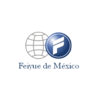 FEIYUE